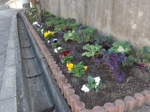 祇園公民館の花壇の写真3