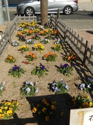 山本第五公園の花壇の写真2