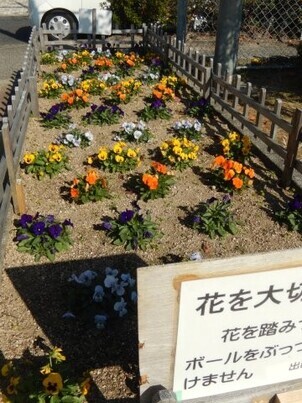 山本第5公園の花壇の写真3
