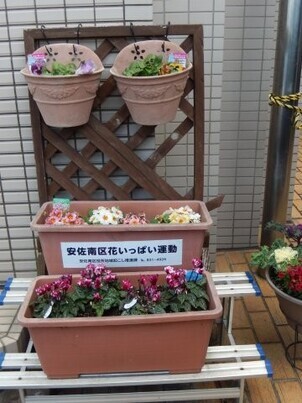 祇園西公民館の花壇の写真1