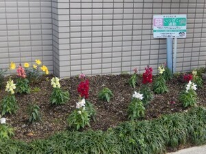 祇園西公民館のプランターの写真