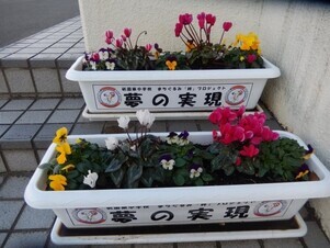 祇園公民館のプランターの写真2