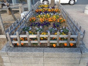 山本第五公園の花壇の写真2