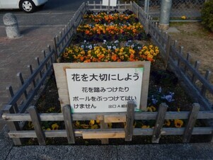 山本第5公園の花壇の写真3