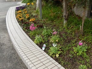 祇園西公民館のプランターの写真