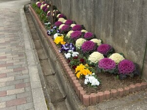 祇園公民館の花壇の写真3