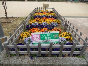 山本第5公園の花壇の写真3