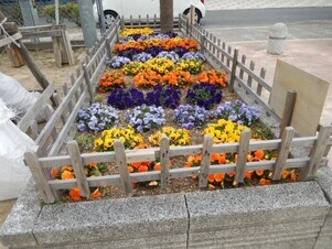 山本第五公園の花壇の写真2