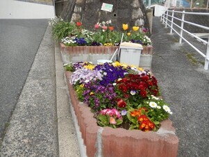 長束西四丁目の花壇の写真1