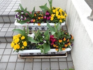 祇園公民館のプランターの写真1