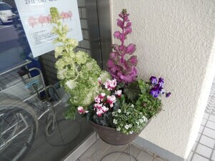 祇園公民館のプランターの写真2