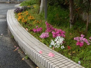 祇園西公民館のプランターの写真