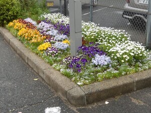 祇園西公民館のプランターの写真