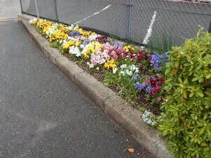 祇園西公民館のプランターの写真
