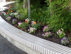 祇園西公民館の花壇の写真1
