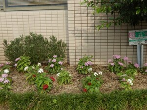 祇園西公民館のプランターの写真