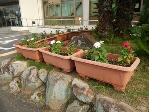 祇園公民館のプランターの写真1