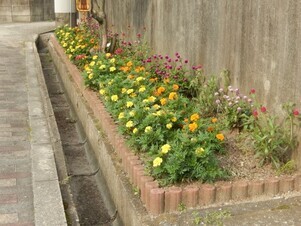 祇園公民館のプランターの写真2