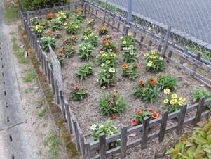 山本第5公園の花壇の写真1