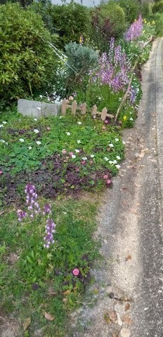 古市三丁目14の花壇の写真