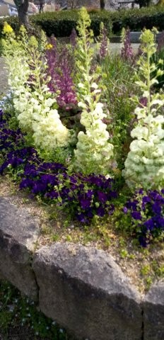 中須1丁目17の花壇の写真2