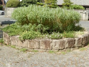 中須1丁目17の花壇の写真