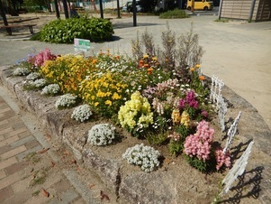祇園保育園前の花壇の写真1