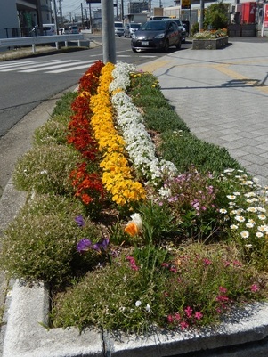 JR古市橋駅前の花壇の写真