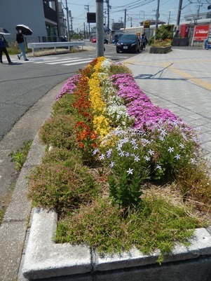 JR古市橋駅前の花壇の写真