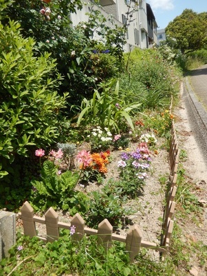 古市三丁目14の花壇の写真