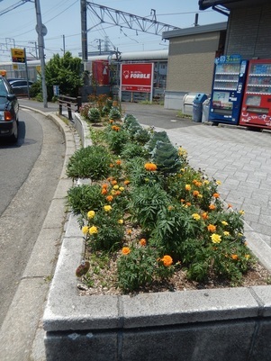 JR古市橋駅前の花壇の写真2