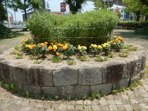 中須一丁目19の花壇の写真1