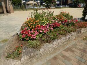 祇園保育園前の花壇の写真1