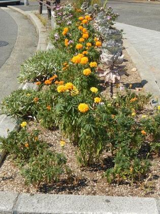 JR古市橋駅前の花壇の写真