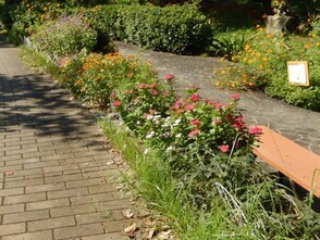 祇園2丁目1の花壇の写真