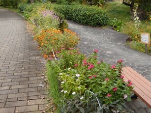 祇園二丁目11の花壇の写真