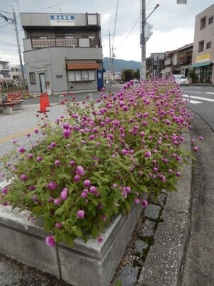 JR古市橋駅前の花壇の写真