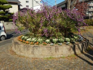 中須1丁目17の花壇の写真