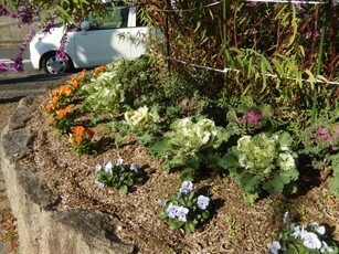 中須1丁目17の花壇の写真2