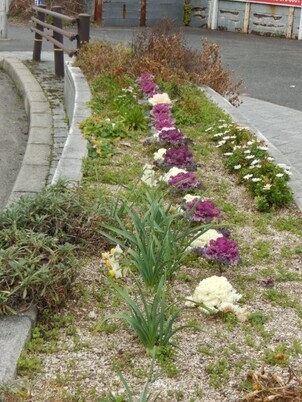 安川緑道2の花壇の写真2