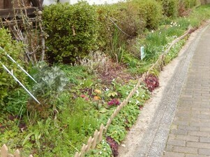 古市三丁目14の花壇の写真