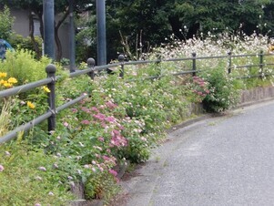 西原5丁目3の花壇の写真1