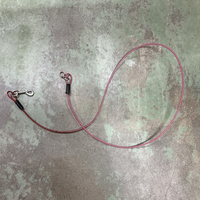 飼い主不明犬の写真