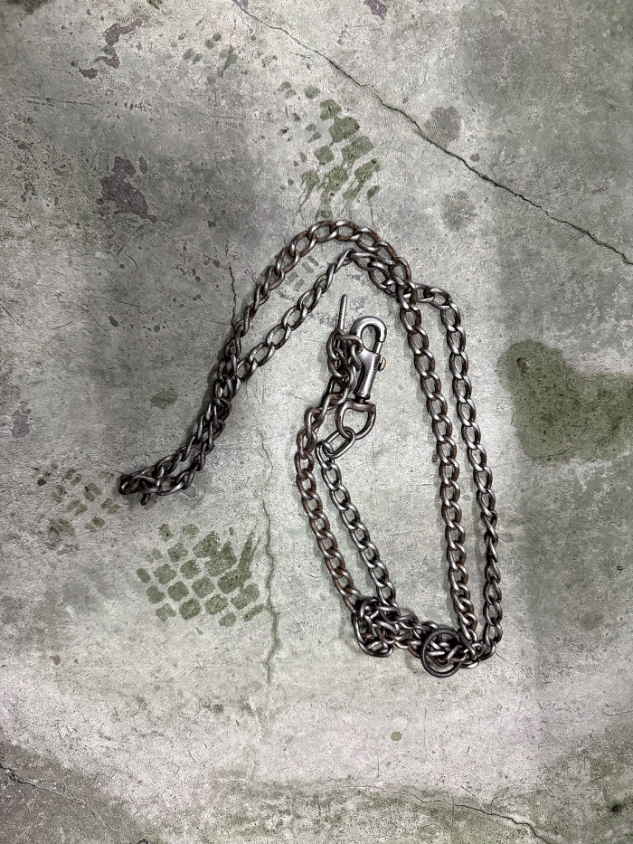 飼い主不明犬の写真