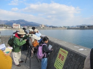 活動の様子1（第4回）