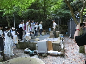 オオサンショウウオ保護繁殖施設の見学
