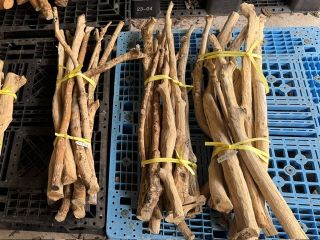 剪定枝等（φ3cm以上5cm未満）の画像