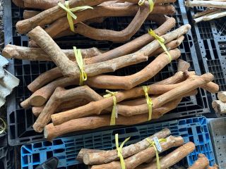 剪定枝等（φ5cm以上10cm未満）の画像