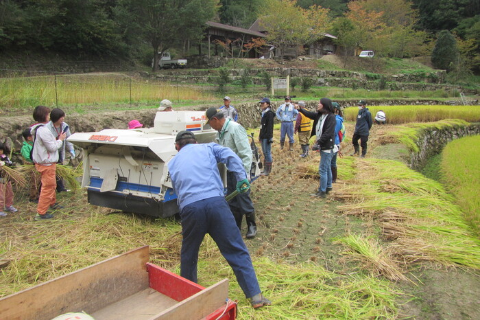 (3) 里山実りの体験