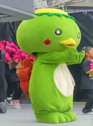 きゅー太